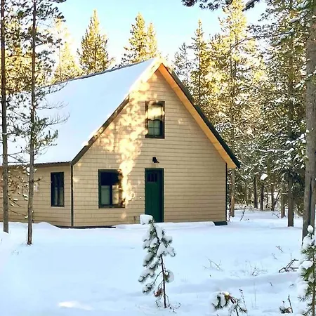 Brand New Cabin In The Pines